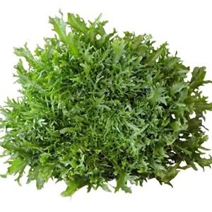 endivyen akdeniz salata