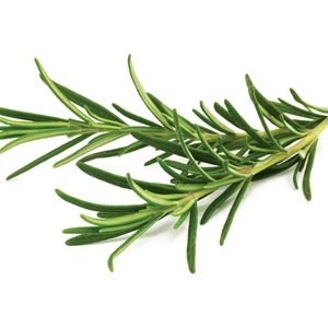 rosemary
